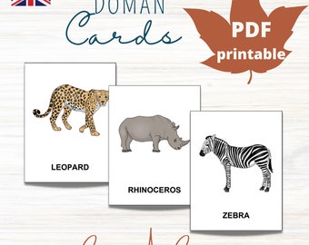 Materiale della scheda SAFARI ANIMALS * 15 Flash Card con nomenclatura Montessori * Stampabile per l'istruzione domiciliare educativa * Carte Doman