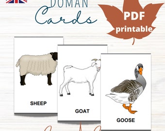 FARM ANIMALS  Card Material * 10 Montessori Nomenclature Flash Cards * Educational Homeschooling Printable * Doman Cards