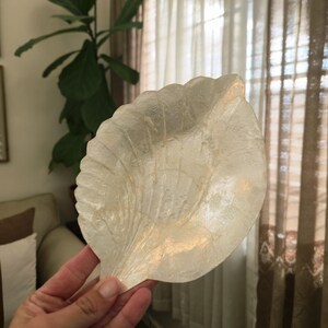May include: A translucent, leaf-shaped decorative dish with a textured surface. The dish is held up in front of a window with sheer curtains and a large green plant in the background. The dish has a pearlescent sheen.