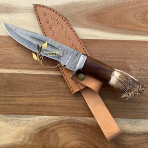 Handmade Gift Damascus Steel Hunting Knife with Stag Antler Horn Handle, 6'' Hand Forged Blade Knife, Best Gift for Him, Wife, Fathers Day