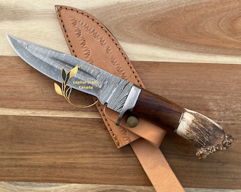 Handmade Gift Damascus Steel Hunting Knife with Stag Antler Horn Handle, 6'' Hand Forged Blade Knife, Best Gift for Him, Wife, Fathers Day