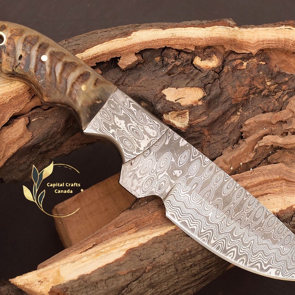 Custom Gift Handmade Forged Damascus Steel Fixed Blade HUNTING KNIFE with Ram & Wood Handle, Camping Knife, Best Birthday Gifts for Him, Dad