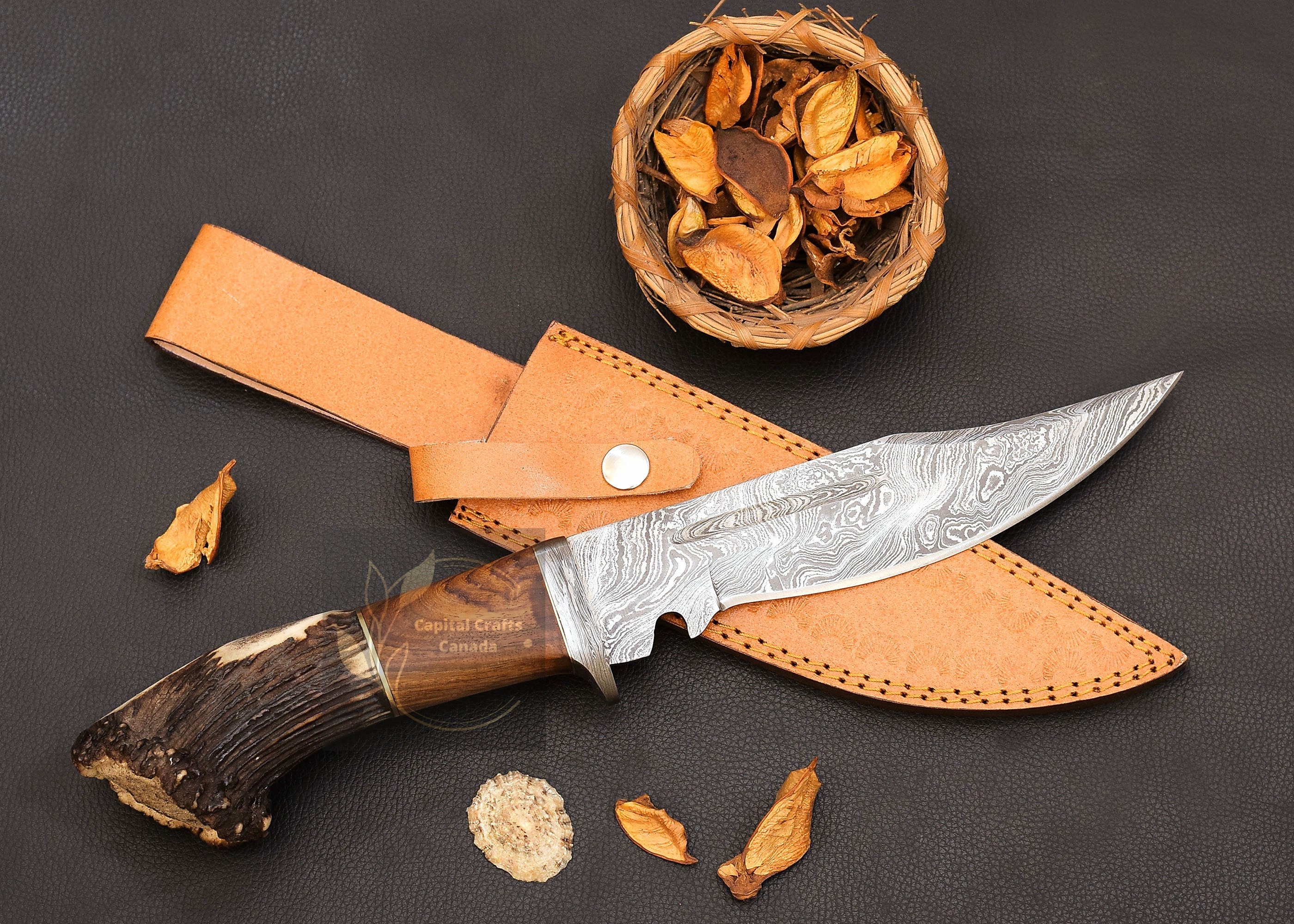 ANUBIS - HAND MADE DAMASCUS STEEL KNIFE by Forseti Steel™ – Staghead  Designs