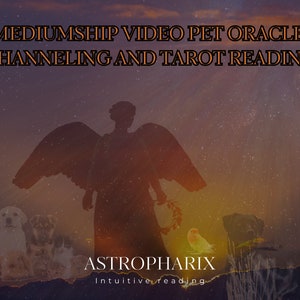 Pet Mediumship Reading for Grieving Owners - Messages from Spirit and your Pet image 3