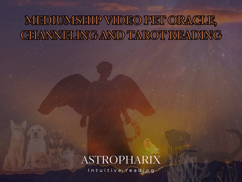Pet Mediumship Reading for Grieving Owners - Messages from Spirit and your Pet image 3