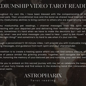 Pet Mediumship Reading for Grieving Owners - Messages from Spirit and your Pet image 2