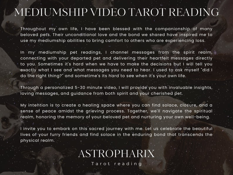 Pet Mediumship Reading for Grieving Owners - Messages from Spirit and your Pet image 2