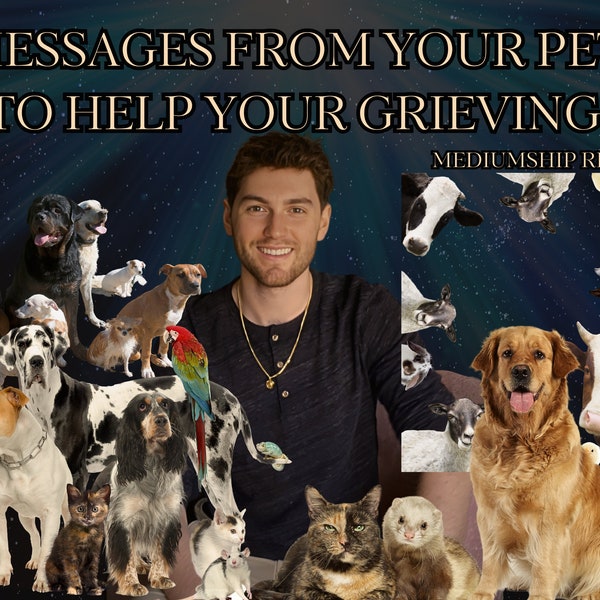 Pet Mediumship Reading for Grieving Owners - Messages from Spirit and your Pet