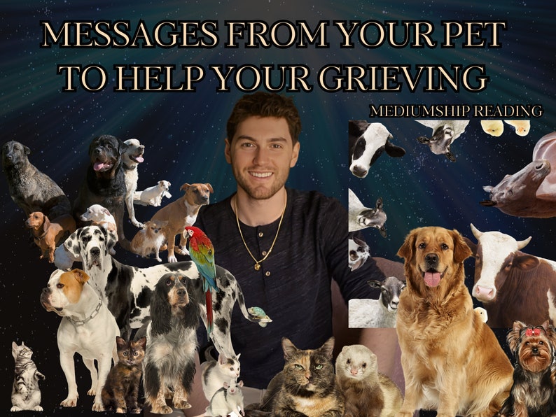 Pet Mediumship Reading for Grieving Owners - Messages from Spirit and your Pet image 1
