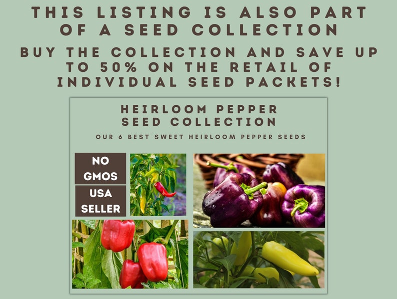 California Wonder Bell Pepper Seeds Bell Pepper Seeds Rare Etsy