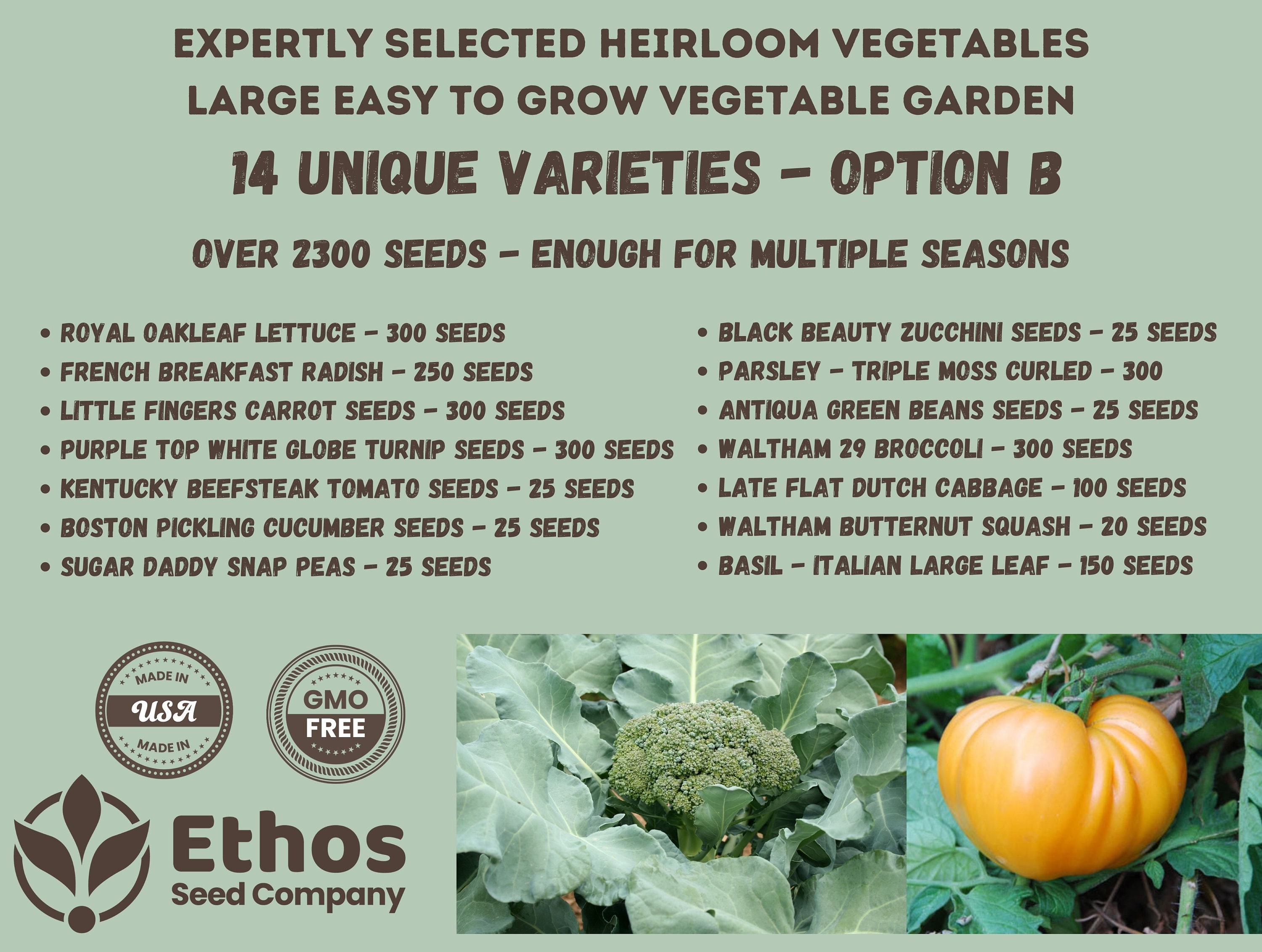 Heirloom Vegetable Seed Collection Easy to Grow Vegetable Etsy