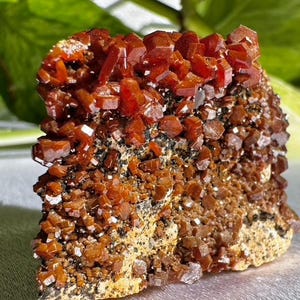 May include: A natural mineral specimen featuring a cluster of vibrant, reddish-orange vanadinite crystals. The crystals are densely packed and sit atop a matrix of brown and tan rock. The background includes green foliage.