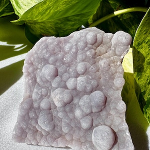 Purple Botryoidal Fluorite Mineral Specimen: Rare Henan China Mineral