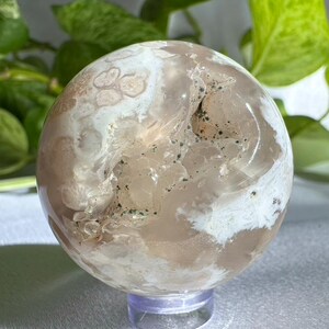 May include: A polished, spherical agate stone with a mix of beige, white, and translucent areas. The stone has a natural, organic pattern and sits on a clear, round stand. The background features green foliage.