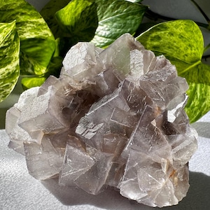 Fluorite Cluster // Cubic Fluorite // Mineral Specimen // Raw Minerals // Natural Stone // Purple and Gray Fluorite // Crystal Cluster