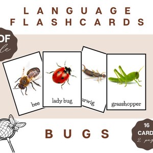 May include: Educational flashcards featuring images of insects, including a bee, ladybug, earwig, and grasshopper. The cards are labeled with the insect names. The text "LANGUAGE FLASHCARDS" and "BUGS" are displayed. The image also includes a "PDF file" label.