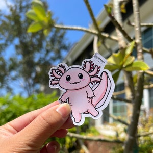 Vinyl Sticker Cute Axolotl, Weather-proof Matte, Glossy Vinyl