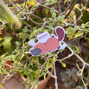 Vinyl Sticker Adorable Platypus, Weather-proof Matte, Glossy Vinyl, Holographic