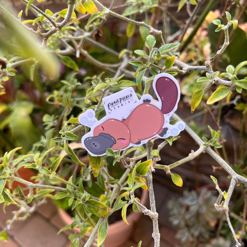 May include: A cartoon platypus sticker with a brown body, a black nose, and a pink blush. The platypus is floating on its back with bubbles around it. The sticker has the text "PrunePotato Studios" on it.