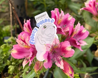 Vinyl Sticker Floaty Potato Manatee, Weather-proof Matte, Glossy Vinyl, Holographic