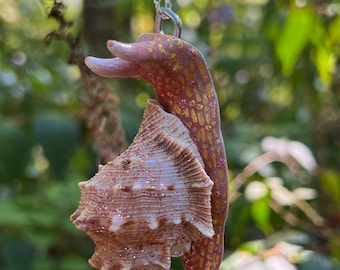 Gilded Sea Snail