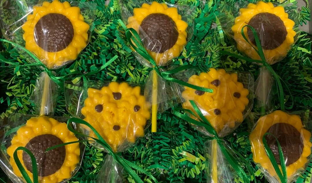 Chocolate Sunflower Pops, Baby Shower, Birthday Party Favors - Etsy