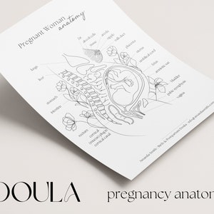 Anatomia kobiety w ciąży | ciąża karmienie piersią anatomia ciała w ciąży, doula położna pracownik porodu konsultant laktacyjny szablon do wydrukowania