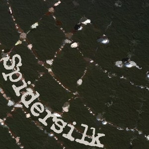 SPIDERSILK |  Citrus, Clove, Cinnamon, White Woods, Vanilla, Tonka, Maple, Patchouli, | Cottagecore Perfume