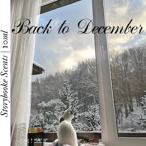 BACK TO DECEMBER | Pine, Woodsy Cedar, Tangerine, Green Apple, Spices, Rose, Soft Musk and Vanilla