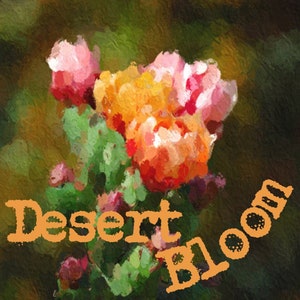 DESERT BLOOM | Warm Sand, Amber, Cactus Pear, Ghost Flower, Aloe, Agave, Patchouli | Cottagecore Perfume Oil
