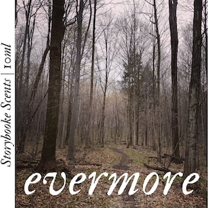 EVERMORE | Evergreen, Spruce, Moss, Plum, Red Berries, Vanilla, Amber, Cedar and Sweet Leather