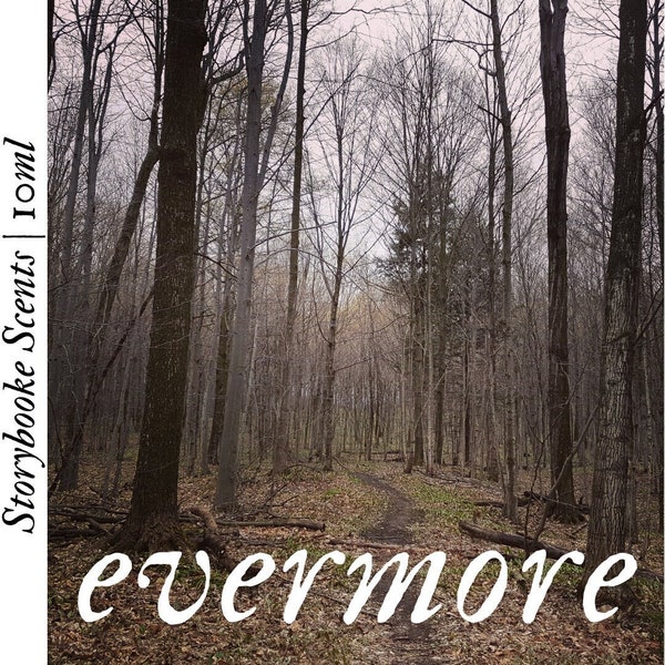 EVERMORE | Evergreen, Spruce, Moss, Plum, Red Berries, Vanilla, Amber, Cedar and Sweet Leather