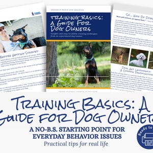 Hoe je je hond traint: basistrainingstips van een professionele hondentrainer