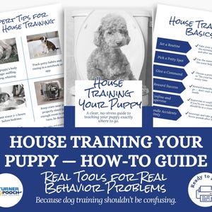 Könnte beinhalten: Ein Leitfaden mit dem Titel "Stubenreinheit für Ihren Welpen - Anleitung" mit Tipps und Grundlagen für die Stubenreinheit von Welpen. Der Leitfaden enthält Bilder von Welpen und Text über Stubenreinheit, Routinen und Belohnung des Erfolgs. Der Leitfaden ist druckfertig.