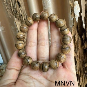 12mm Agarwood Seeds with Vein | Standard Forest Agarwood | Agarwood Forest | Agarwood Bracelet |