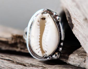 Könnte beinhalten: Ein silberner Ring mit einem weißen Kaurischnecken-Mittelstück. Die ovale Muschel ist in einem detaillierten Silberband gefasst. Der Ring wird auf einer verwitterten Holzoberfläche präsentiert, was seine natürliche und maritime Ästhetik unterstreicht.