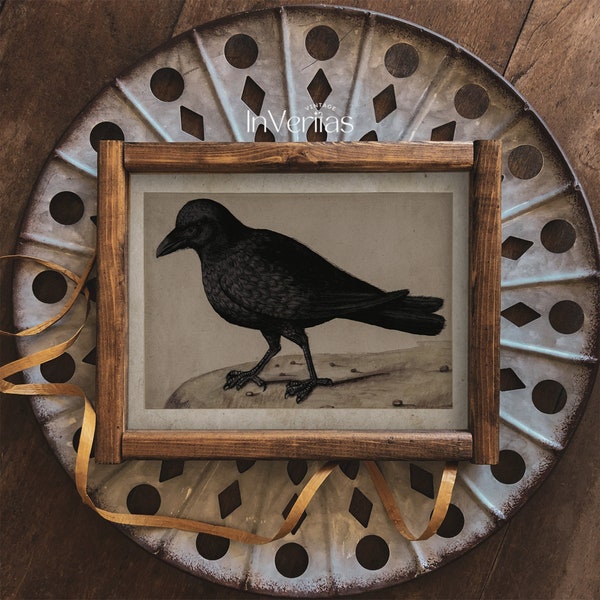 Vintage Raven Art | Dark Cottagecore | Moody Fall & Halloween Decor | PRINTABLE | No. 256