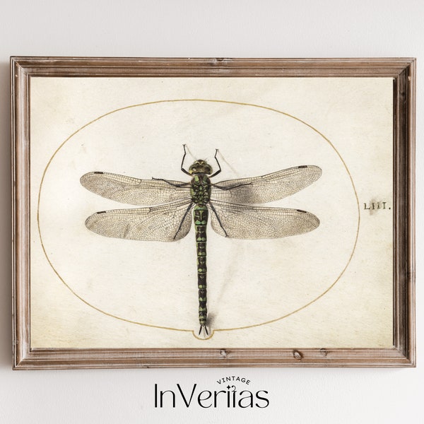 Green Dragonfly Vintage Entomology Illustration | Dark Academia Decor | PRINTABLE | No. 346