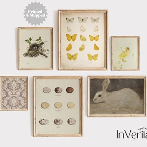 Vintage Spring and Easter Gallery Wall | Set of 6 Farmhouse Paintings | PRINTED AND SHIPPED | No. A058