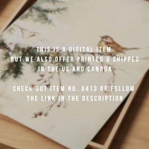 K&ouml;nnte beinhalten: Eine digitale Illustration eines braunen Vogels, der auf einem Zweig mit schneebedeckten Kiefernnadeln sitzt. Der Text "THIS IS A DIGITAL ITEM BUT WE ALSO OFFER PRINTED & SHIPPED IN THE US AND CANADA CHECK OUT ITEM NO. A413 OR FOLLOW THE LINK IN THE DESCRIPTION" ist auf dem Bild gedruckt.
