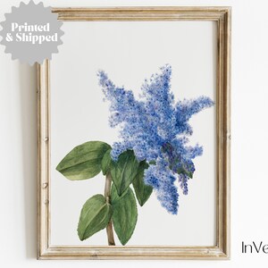 Vintage Blue Flower Print | Cottagecore Decor  | PRINTED AND SHIPPED | No. A086