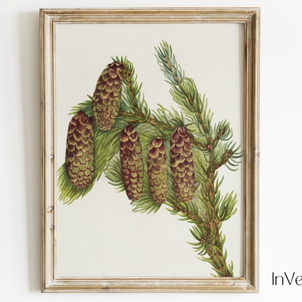 Spruce Tree Branch Vintage Painting | Farmhouse Winter Decor | PRINTABLE | No. 446