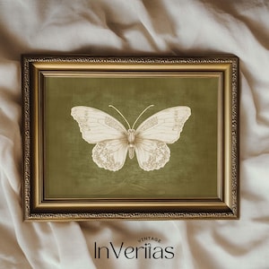 Könnte beinhalten: Gerahmter Druck mit einer cremefarbenen Schmetterlingsillustration auf grünem Hintergrund, in einem goldfarbenen, verzierten Rahmen. Das Bild enthält das Wort "VINTAGE" über "InVeritas" unten. Der Gesamteindruck ist Vintage.