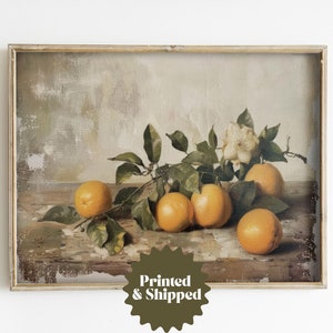 Vintage Oranges Painting Still Life | Moody Country Kitchen Decor | PRINTED AND SHIPPED | No. A265