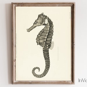 Ilustración vintage de caballito de mar / Decoración temática del océano / IMPRIMIBLE / No. 443