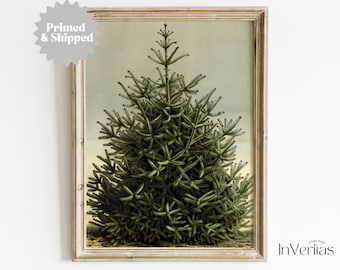 Christmas Tree Rustic Vintage Wall Art | Country Christmas Decor | PRINTED AND SHIPPED | No. A126