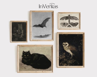 May include: A set of five framed vintage prints featuring a black cat, a bat, an owl, and two moths. The prints are all in black and white and have a rustic, antique aesthetic.