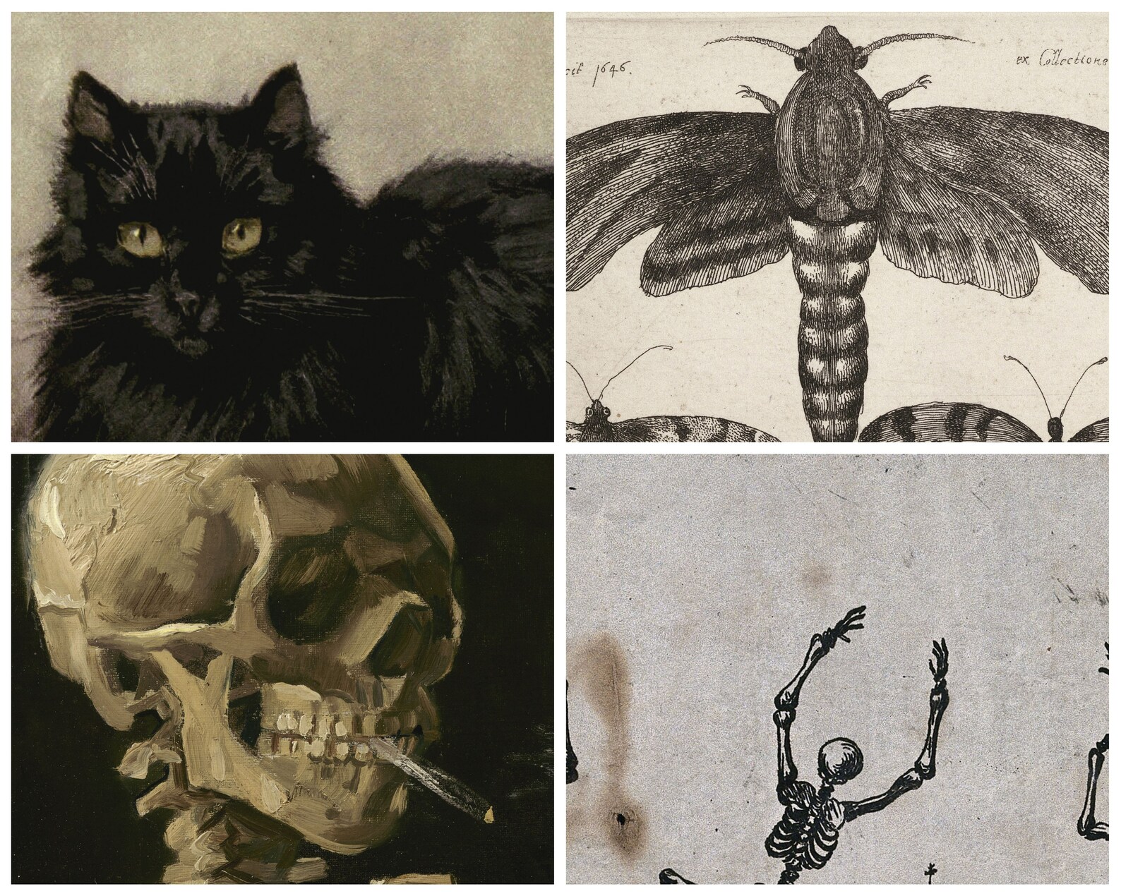 Moody Halloween Gallery Wall | Set of 10 Vintage Prints | Dark ...
