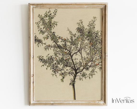 Rustic Vintage Apple Tree Sketch | Mediterranean Print | Farmhouse Kitchen Decor | PRINTABLE | No. 135