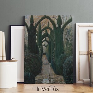 May include: A vintage photograph of a pathway lined with tall, green trees, creating a tunnel-like effect. The trees are trimmed into arches, and the path leads to a light-filled opening at the end.